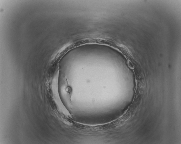 X0000080681159200612301417