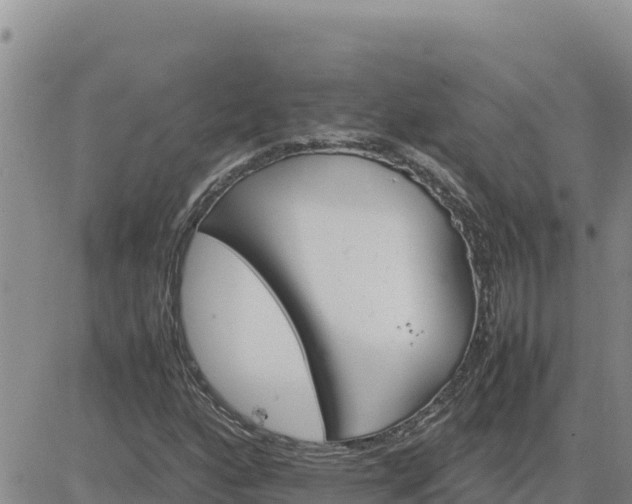 X0000080681160200612301417