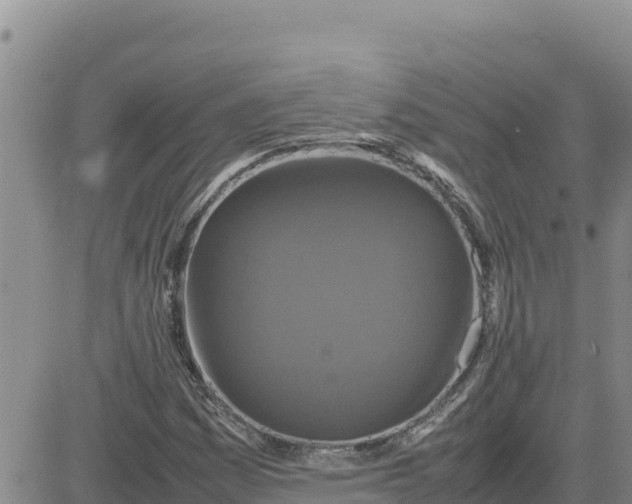 X0000080681161200612301417