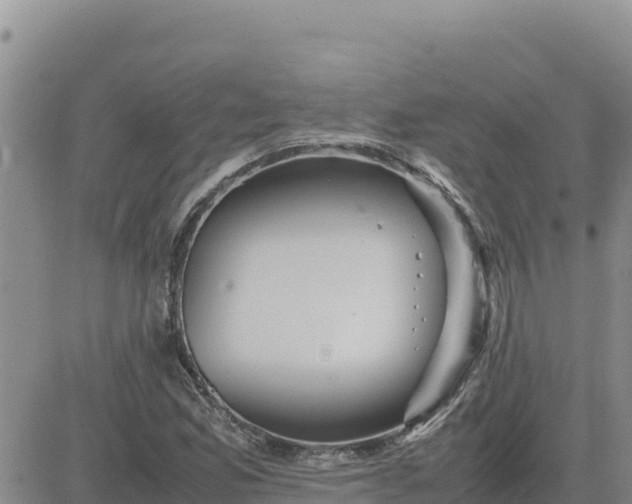 X0000080681165200612301417