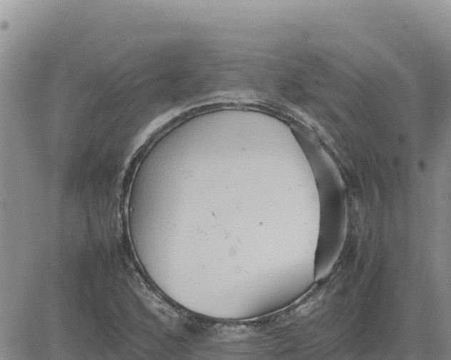 X0000080681168200612301417