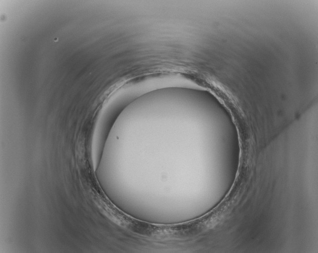 X0000080681169200612301417