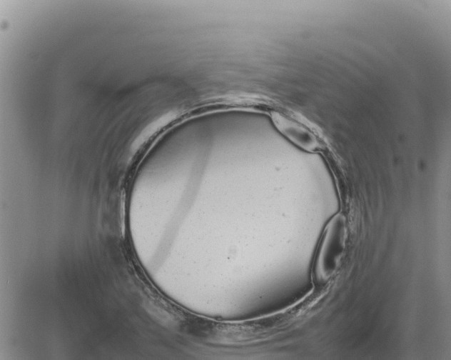 X0000080681171200612301417