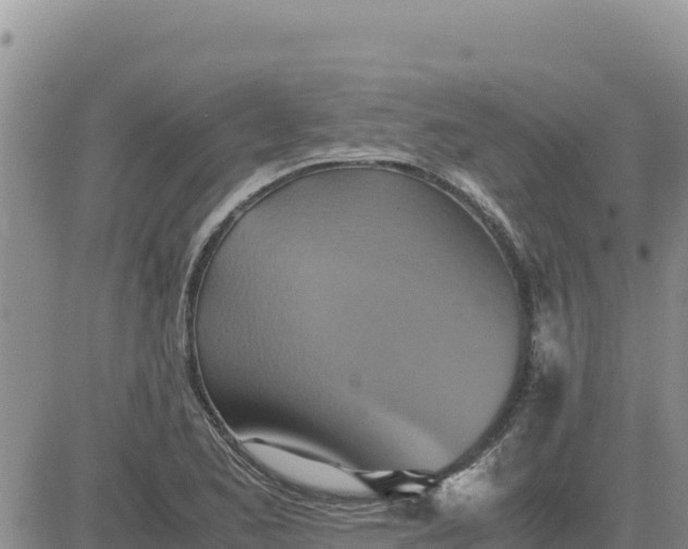 X0000080681173200612301417