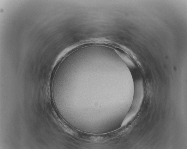 X0000080681176200612301417