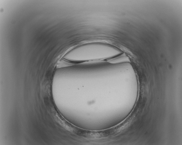 X0000080681177200612301417