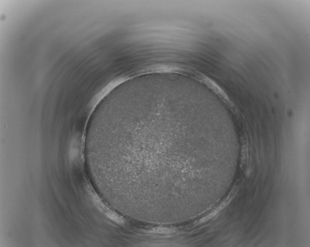 X0000080681178200612301417