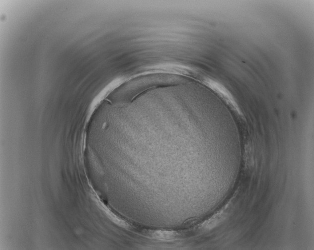 X0000080681180200612301417