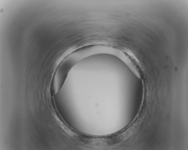 X0000080681181200612301417