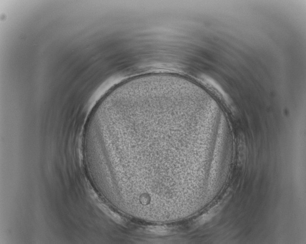 X0000080681182200612301417