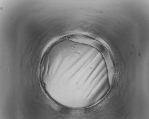 X0000080681183200612301417