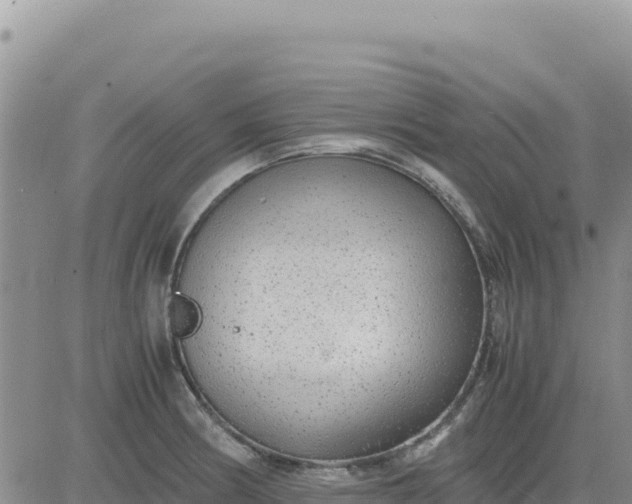 X0000080681186200612301417