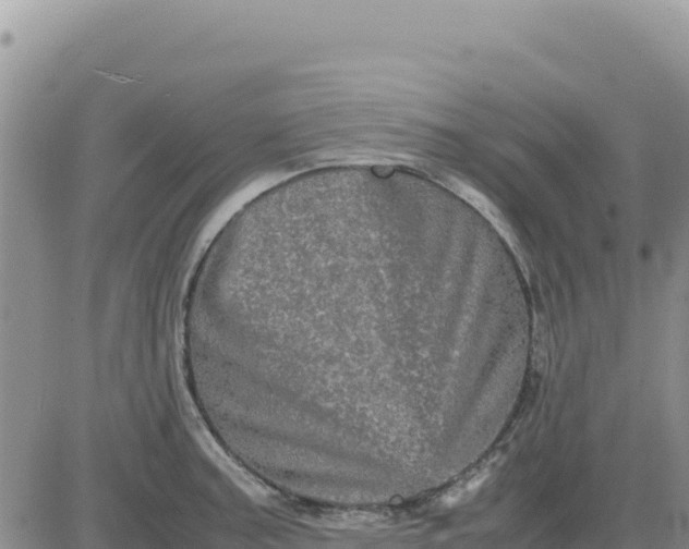 X0000080681187200612301417