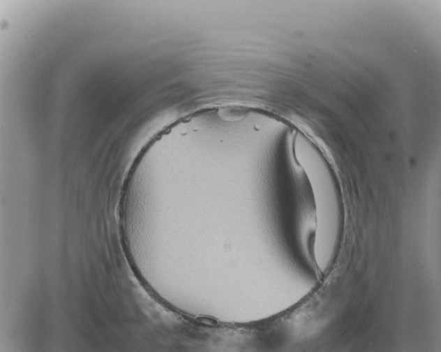 X0000080681189200612301417