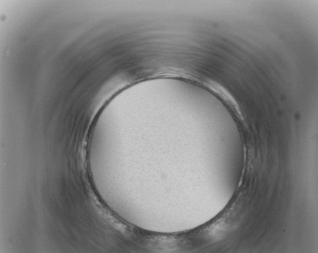 X0000080681190200612301417