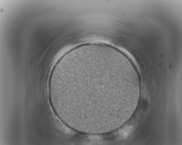 X0000080681191200612301417