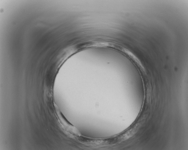 X0000080681193200612301417