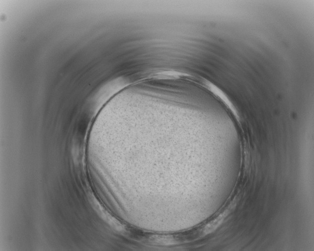 X0000080681194200612301417