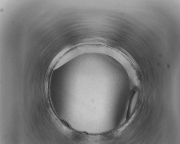 X0000080681196200612301417