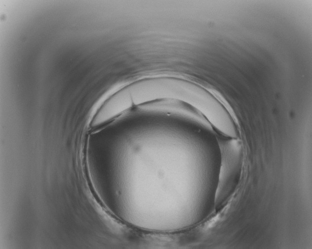 X0000080681197200612301417