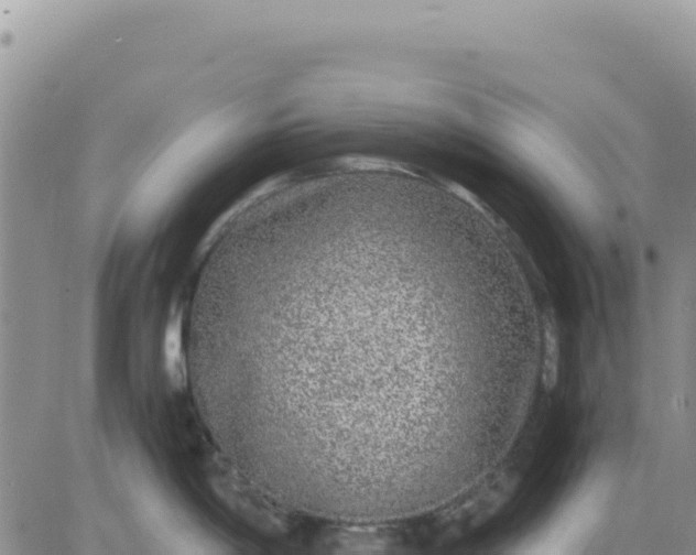 X0000080681198200612301417