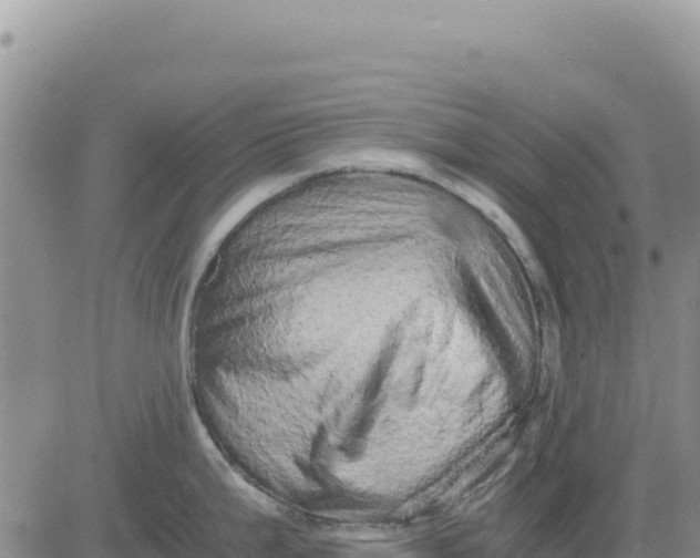 X0000080681199200612301417