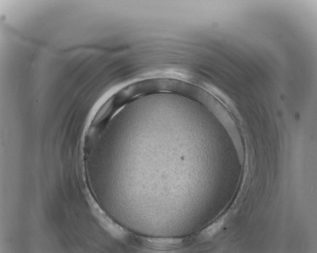 X0000080681200200612301417