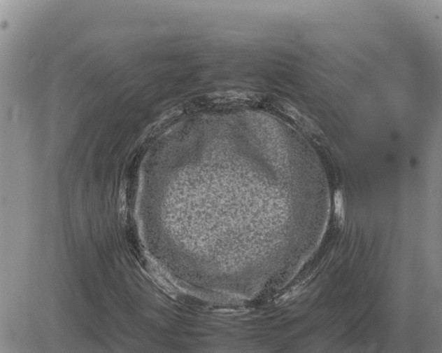 X0000080681203200612301416