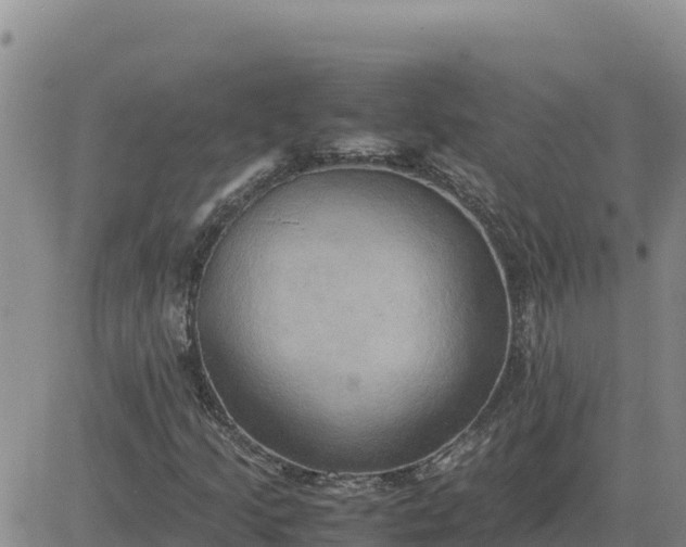 X0000080681205200612301416