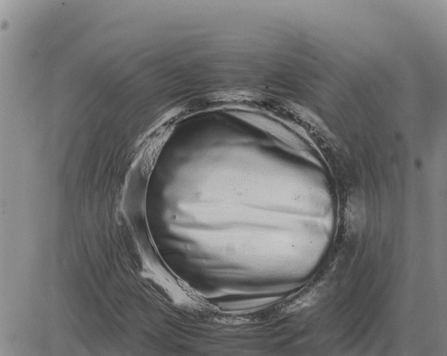 X0000080681209200612301416