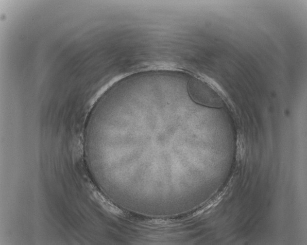 X0000080681212200612301416