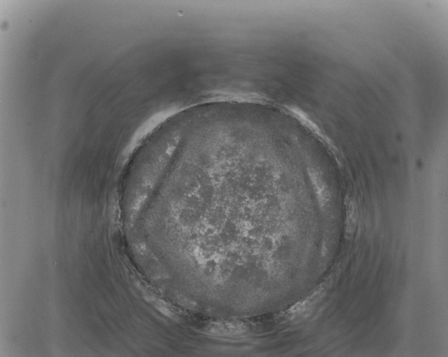 X0000080681215200612301416