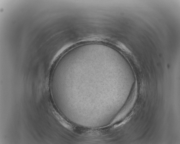 X0000080681216200612301416