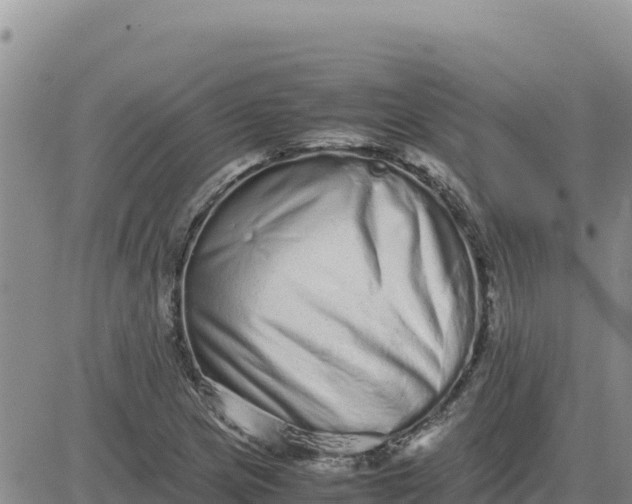 X0000080681217200612301416