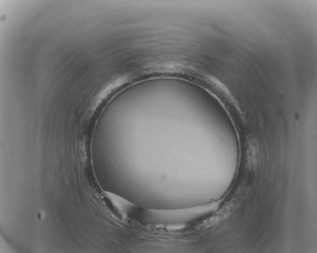 X0000080681218200612301416