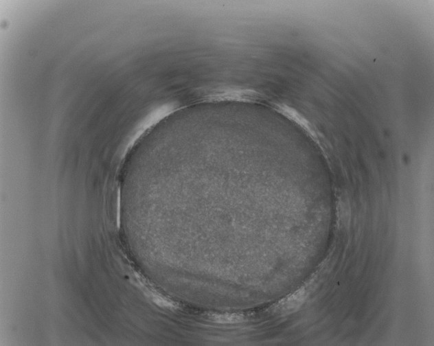 X0000080681219200612301416