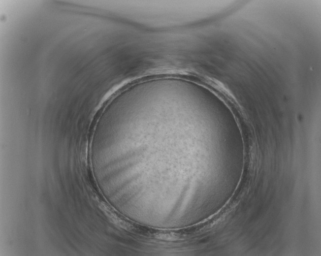 X0000080681220200612301416