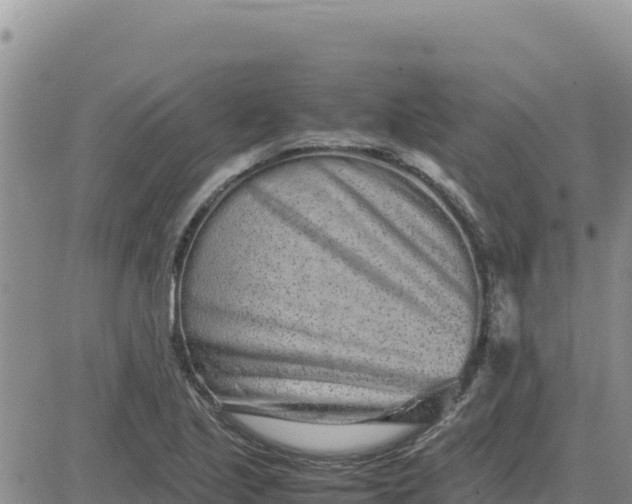 X0000080681221200612301416