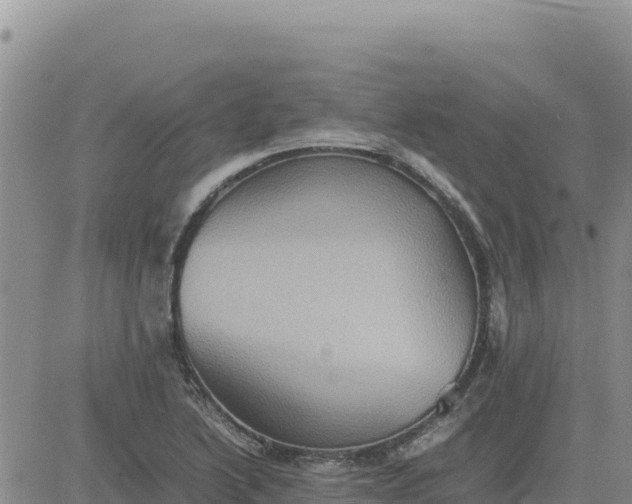 X0000080681222200612301416