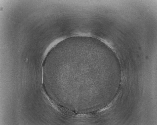 X0000080681223200612301416