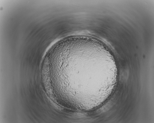 X0000080681224200612301416