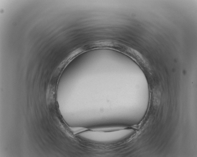 X0000080681225200612301416