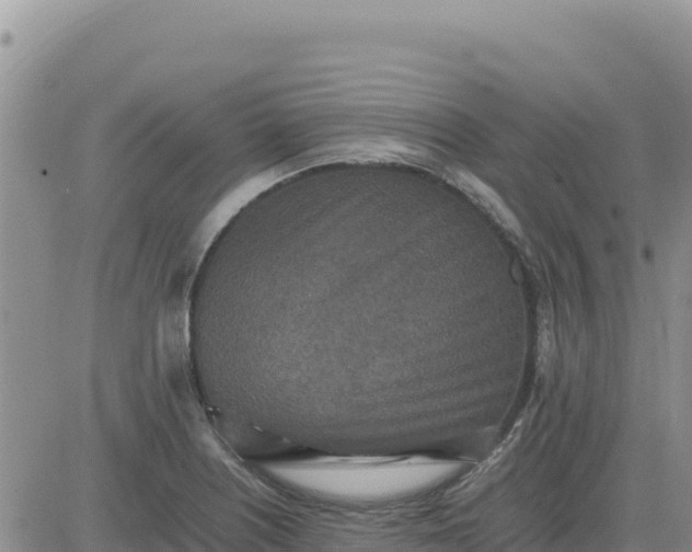 X0000080681226200612301416