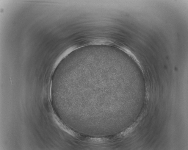 X0000080681227200612301416