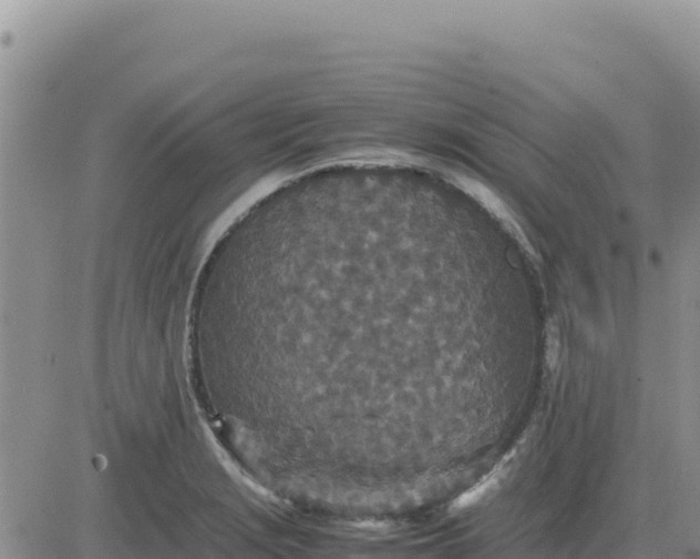 X0000080681229200612301417