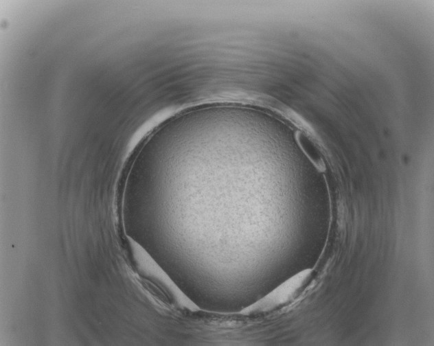 X0000080681230200612301417