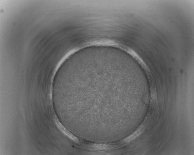 X0000080681232200612301417