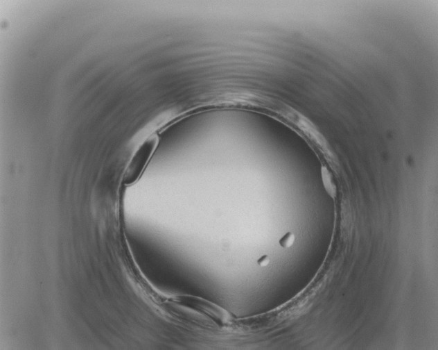 X0000080681234200612301417