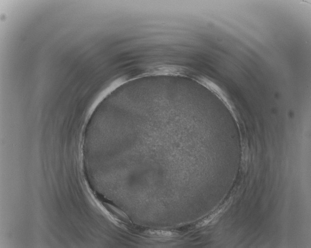 X0000080681235200612301417