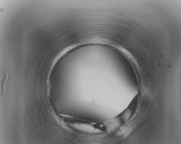 X0000080681238200612301417